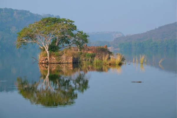 Jaipur to Ranthambore Cab Price