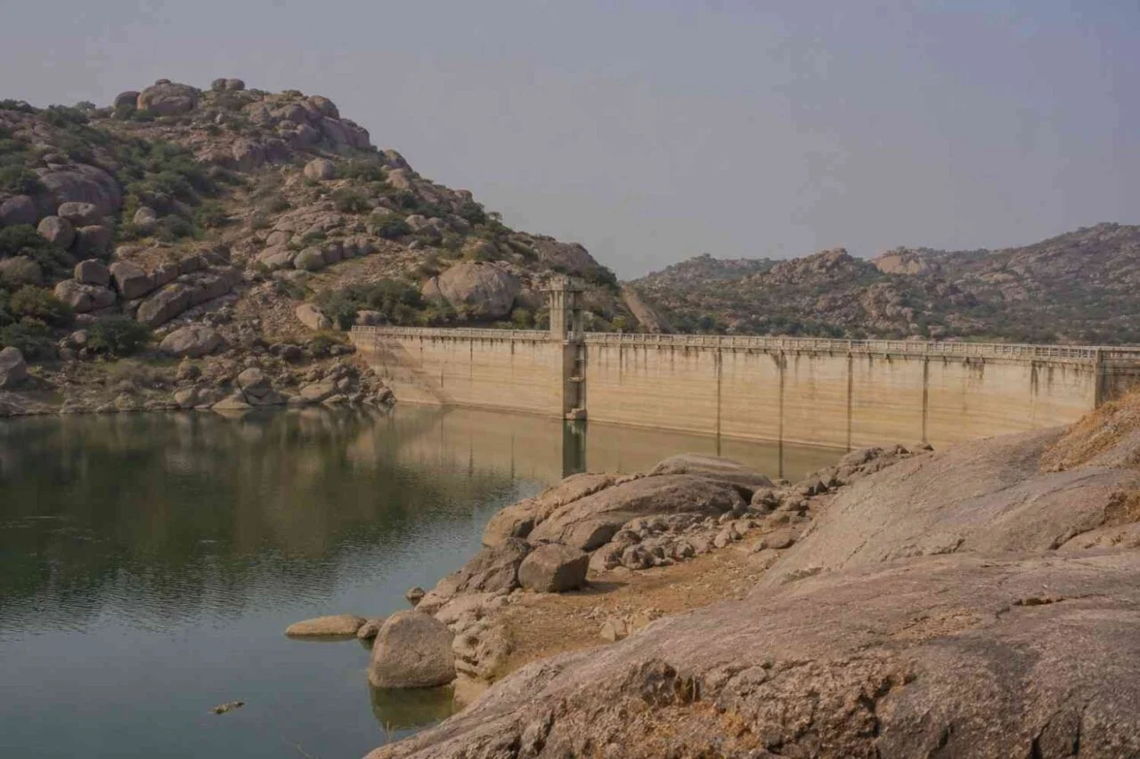 Jawai Bandh to Jaipur Tour