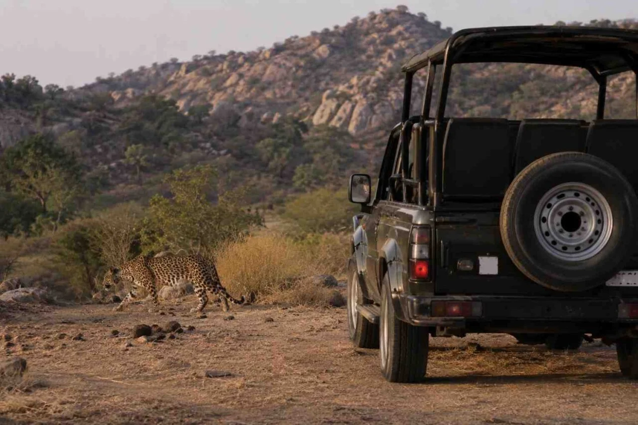 Jawai to Jaipur Cab Fare